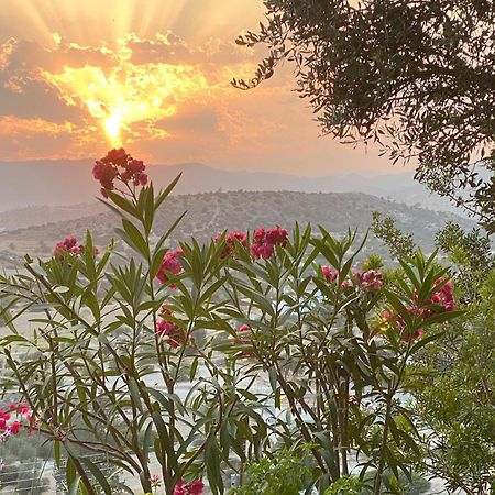 הוילה Pentakomo Endless Sunset מראה חיצוני תמונה
