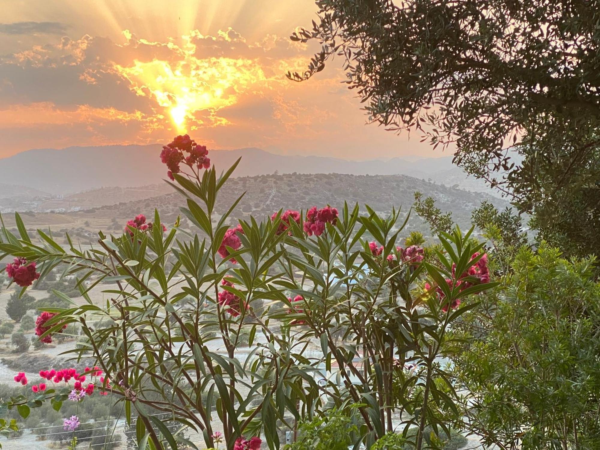 הוילה Pentakomo Endless Sunset מראה חיצוני תמונה